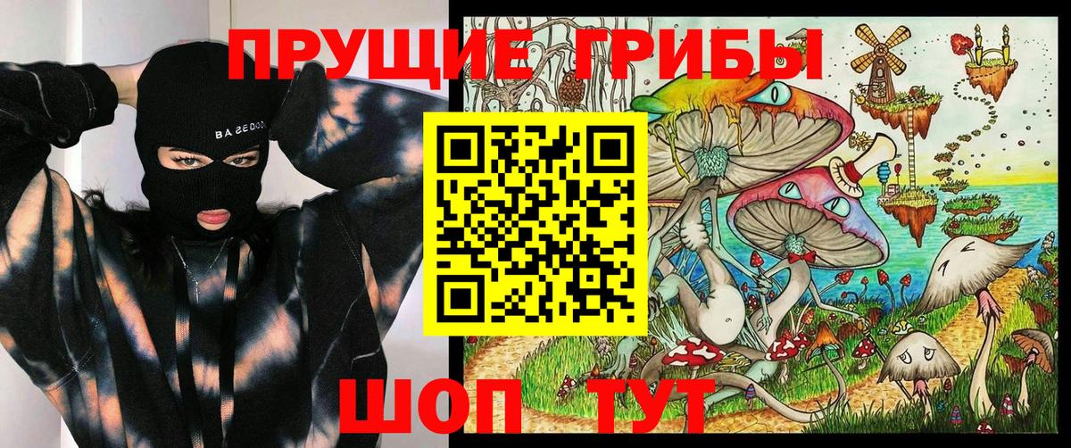 Псилоцибиновые грибы Psilocybine cubensis Кашира