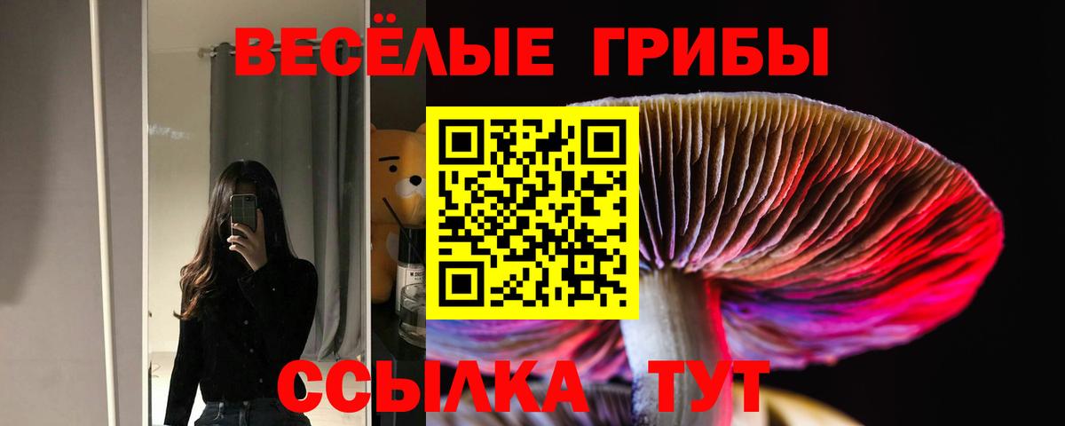 Кашира  Галлюциногенные грибы Psilocybine cubensis  Вход с VPN 